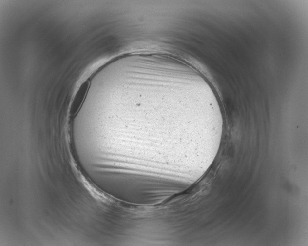 X0000080741485200701021134