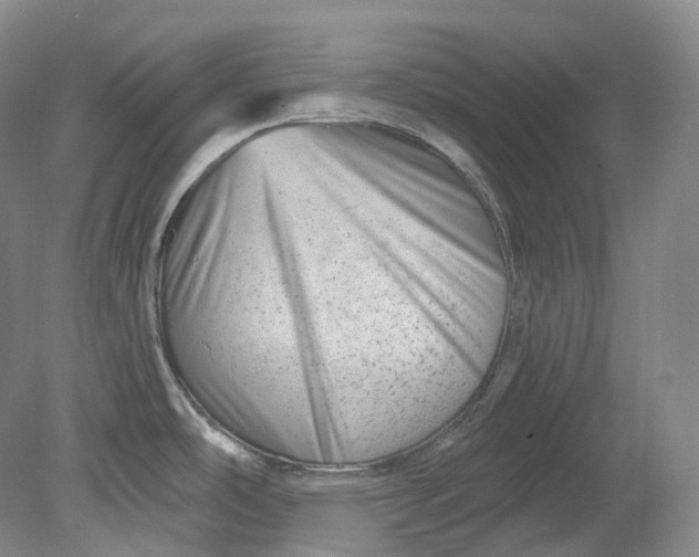 X0000080741486200701021134