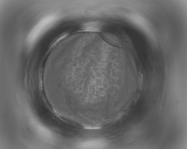 X0000080741487200701021134