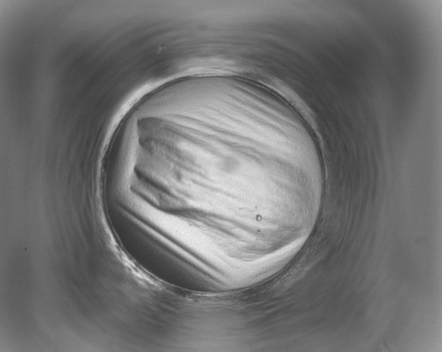 X0000080741488200701021134