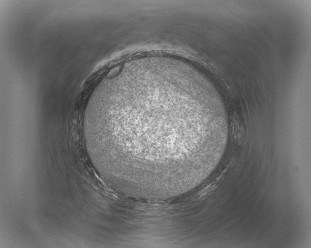 X0000080741494200701021133