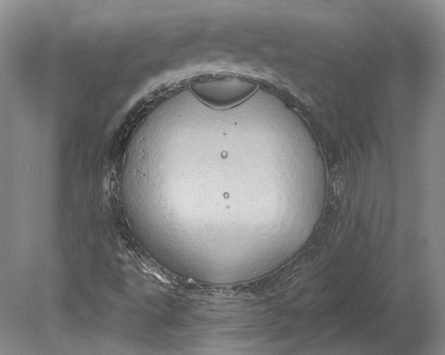 X0000080741495200701021133