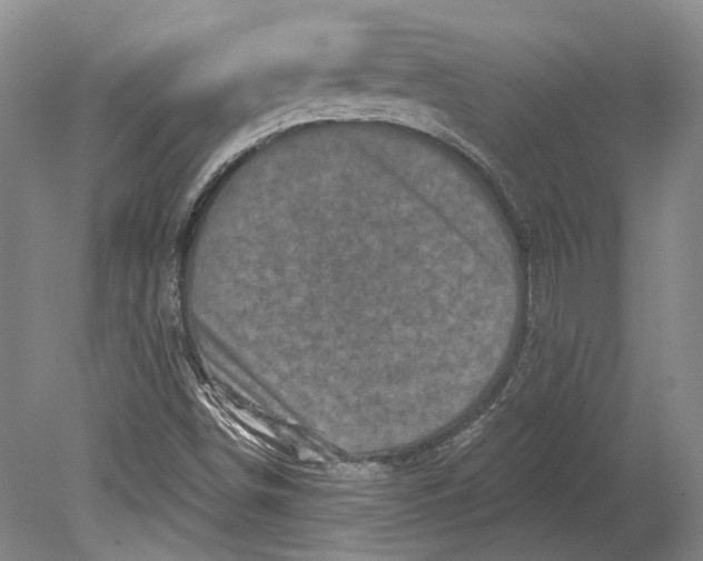 X0000080741498200701021133