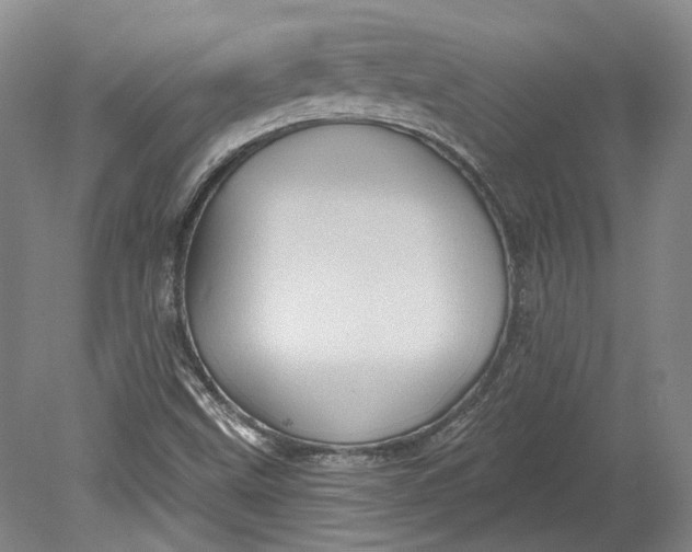 X0000080741499200701021133