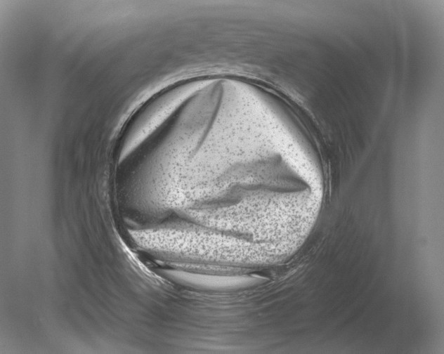 X0000080741500200701021133