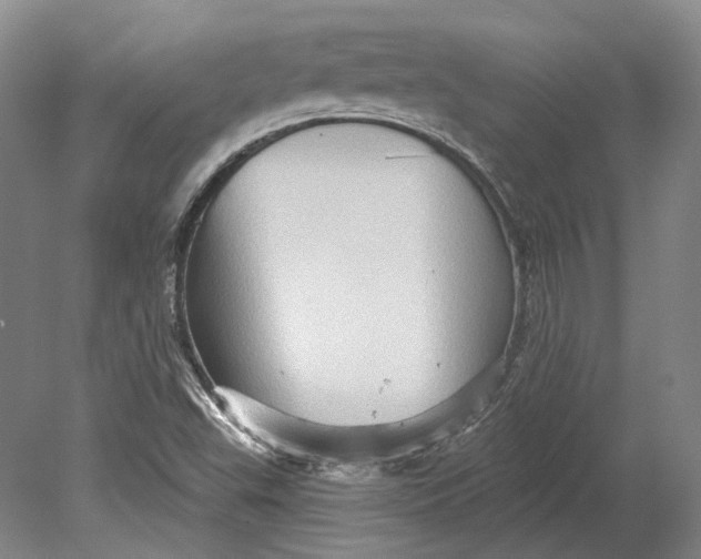 X0000080741503200701021133