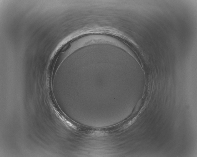 X0000080741506200701021133