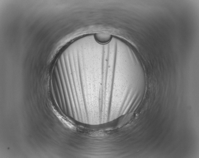 X0000080741507200701021133