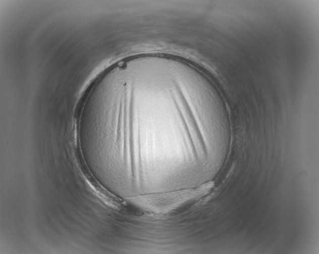 X0000080741509200701021133