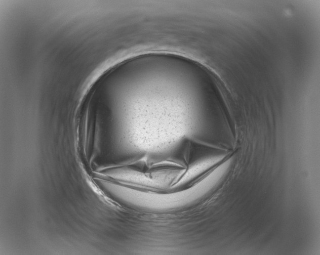 X0000080741511200701021133