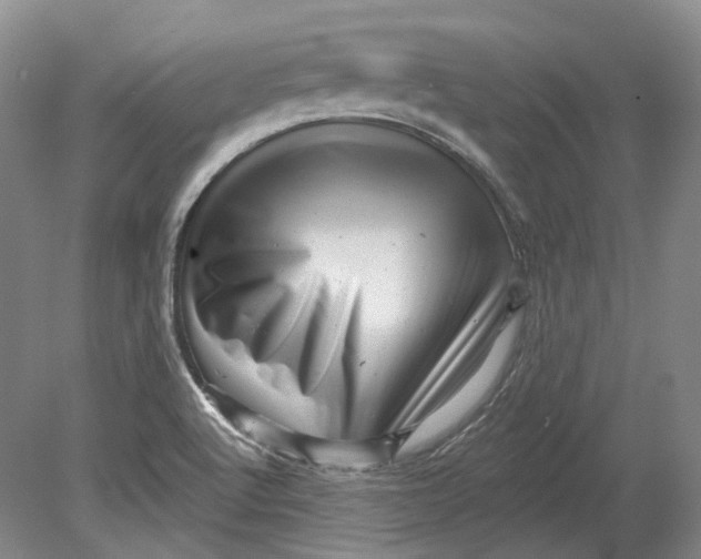 X0000080741512200701021133