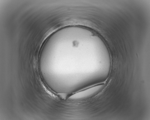 X0000080741513200701021133