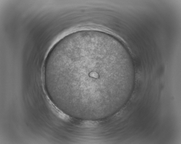 X0000080741514200701021133