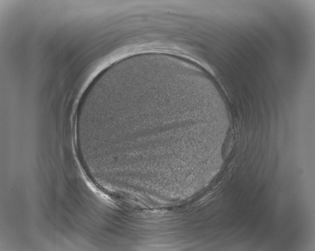 X0000080741515200701021133