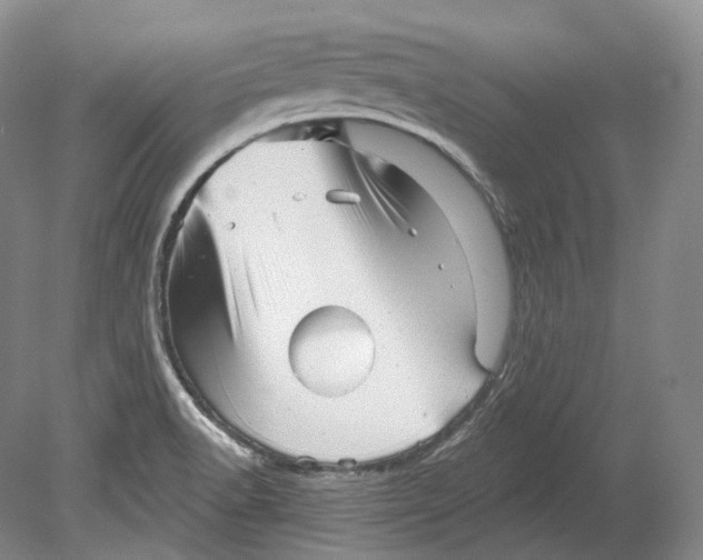 X0000080741518200701021133