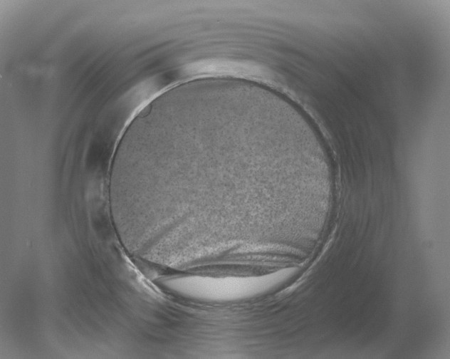 X0000080741529200701021133