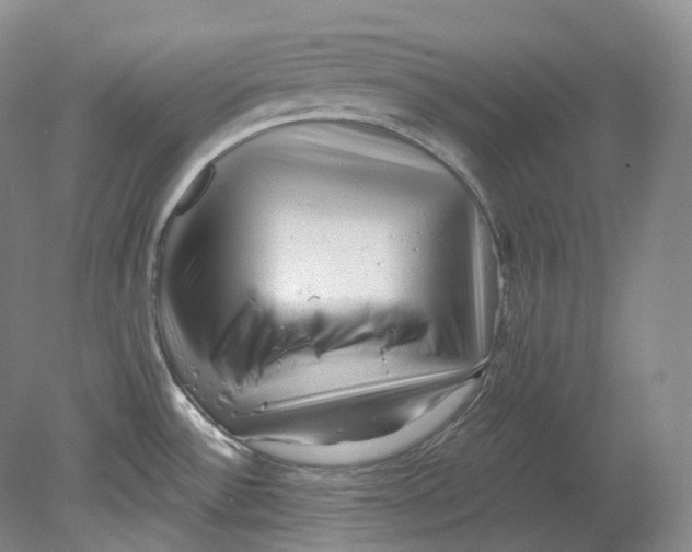 X0000080741532200701021133