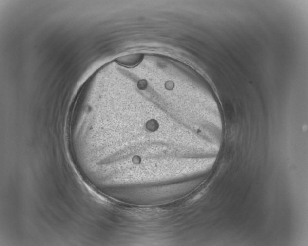 X0000080741533200701021134