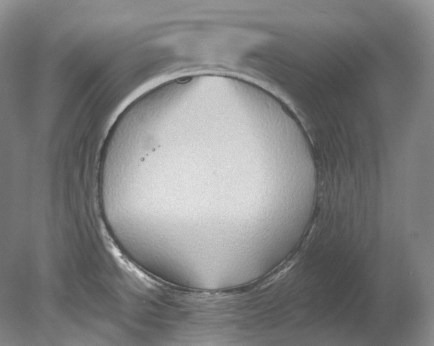 X0000080741534200701021134