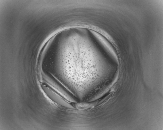 X0000080741536200701021134