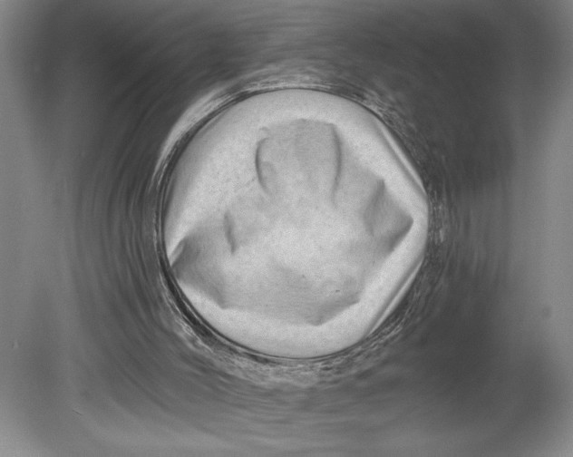 X0000080740004200701051156