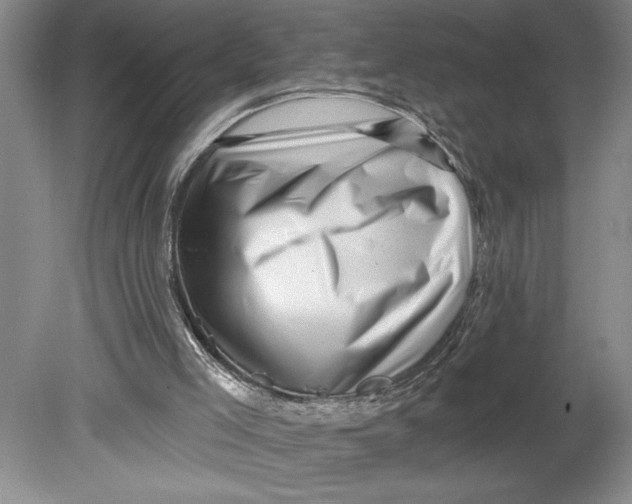 X0000080740005200701051156