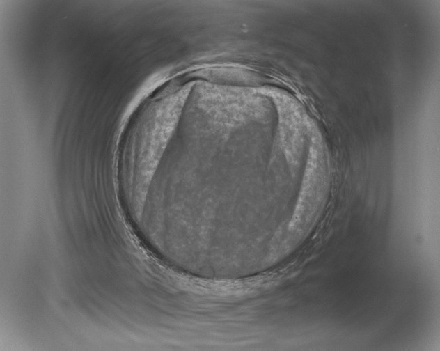 X0000080740006200701051156