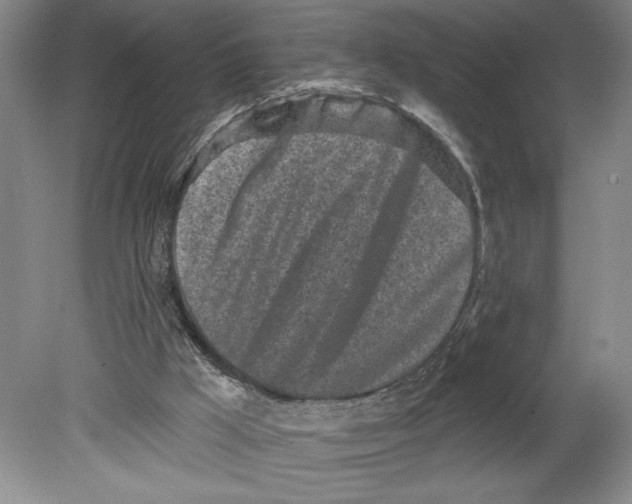 X0000080740009200701051156