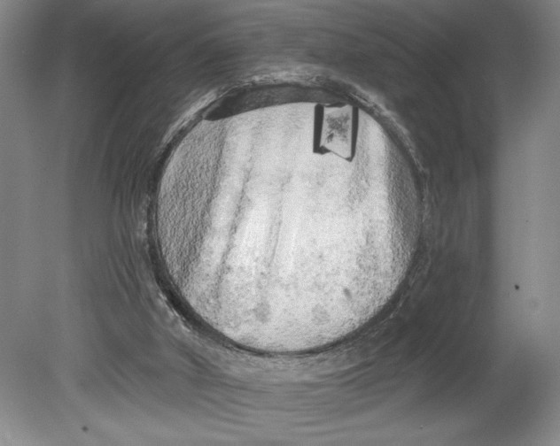 X0000080740010200701051156