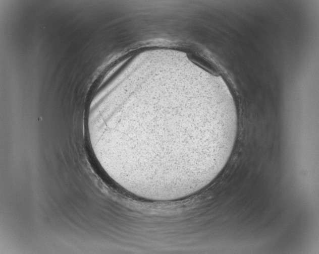 X0000080740011200701051156