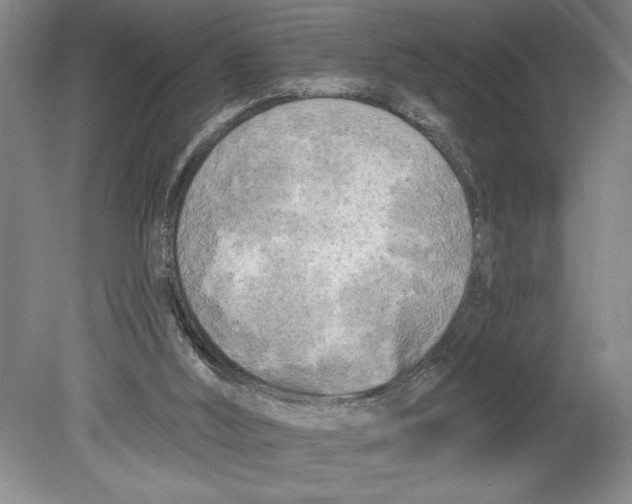 X0000080740012200701051156