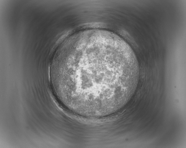 X0000080740014200701051156