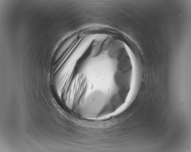 X0000080740015200701051156