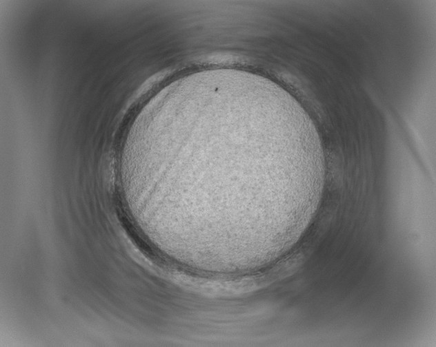 X0000080740016200701051156