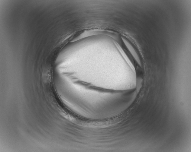 X0000080740017200701051156