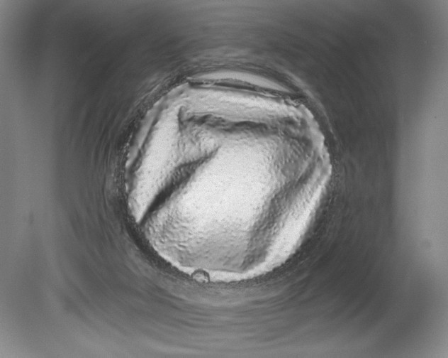 X0000080740018200701051156