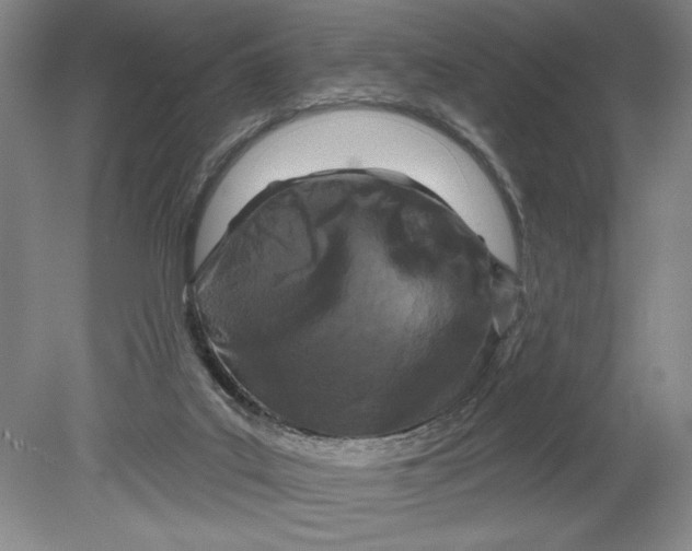 X0000080740019200701051156