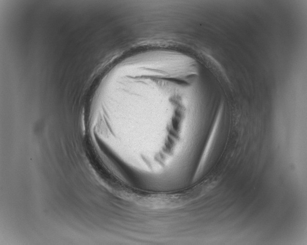 X0000080740020200701051156