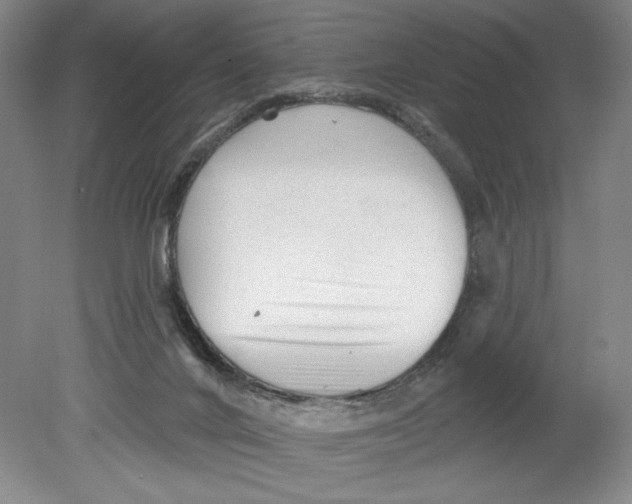 X0000080740024200701051156