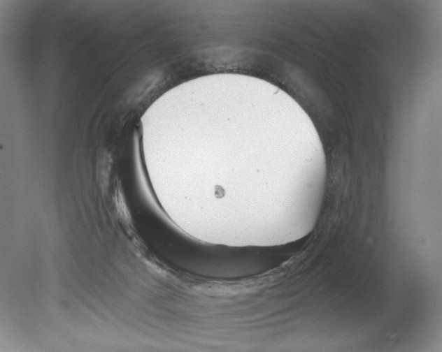 X0000080740025200701051156