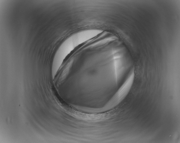 X0000080740027200701051156