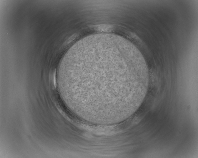 X0000080740028200701051156