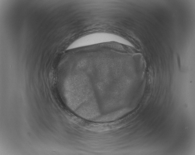 X0000080740029200701051156