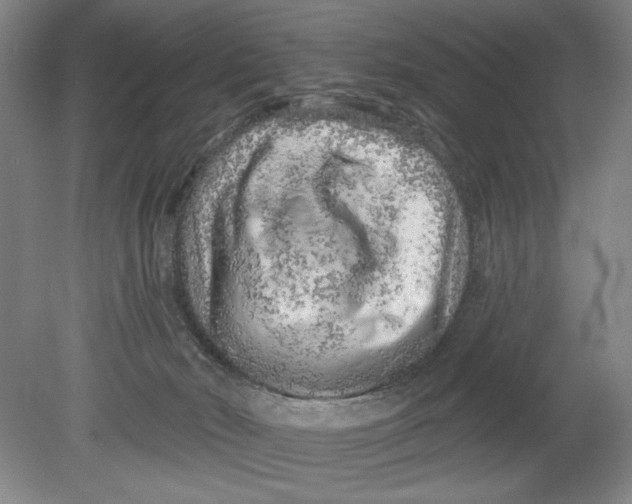 X0000080740030200701051156