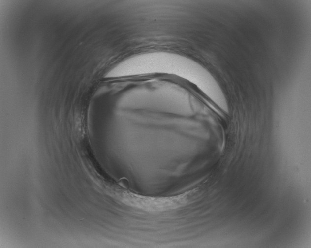 X0000080740031200701051156