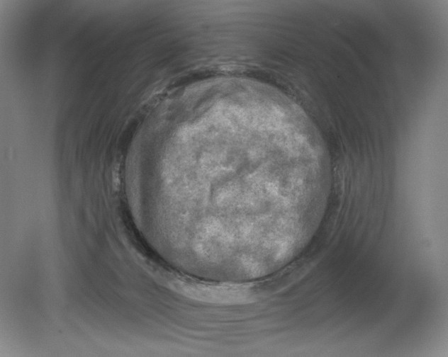 X0000080740032200701051156