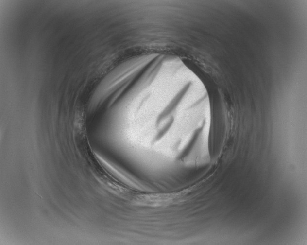 X0000080740033200701051156