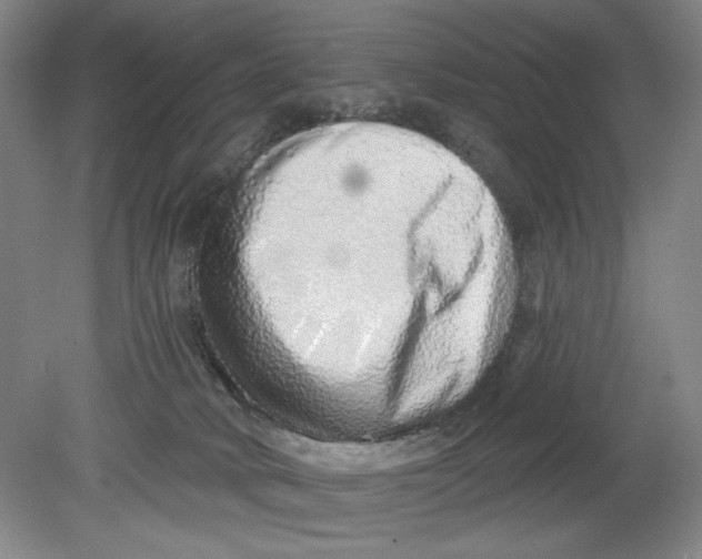 X0000080740034200701051156