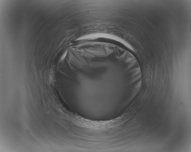 X0000080740035200701051156