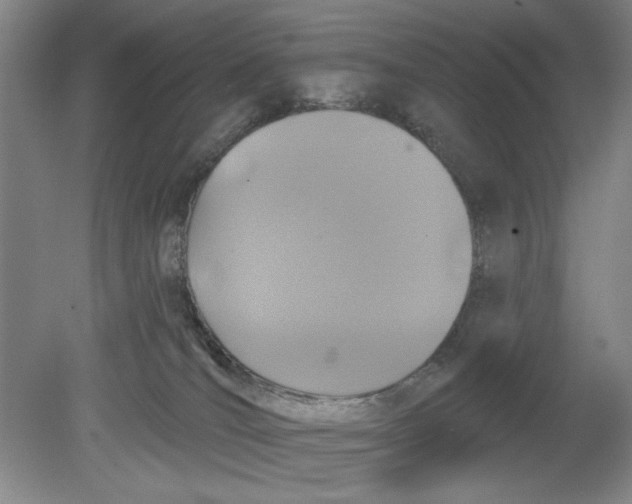 X0000080740036200701051156